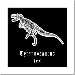 🦖 Fossil Skeleton of a Tyrannosaurus rex Dinosaur Posters and Art